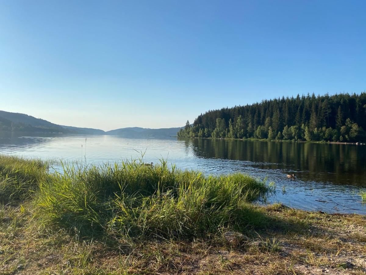 Sporthostel Roessle Schluchsee Dış mekan fotoğraf