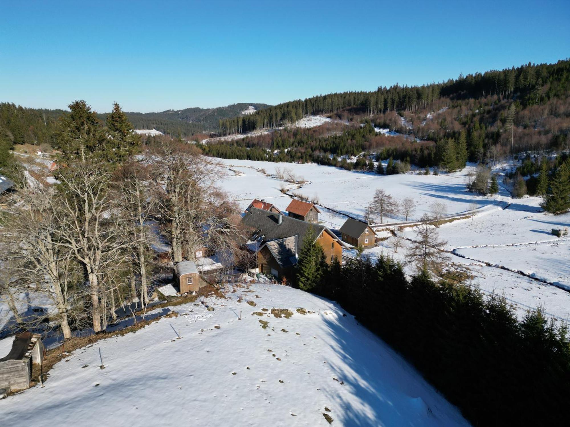 Sporthostel Roessle Schluchsee Dış mekan fotoğraf