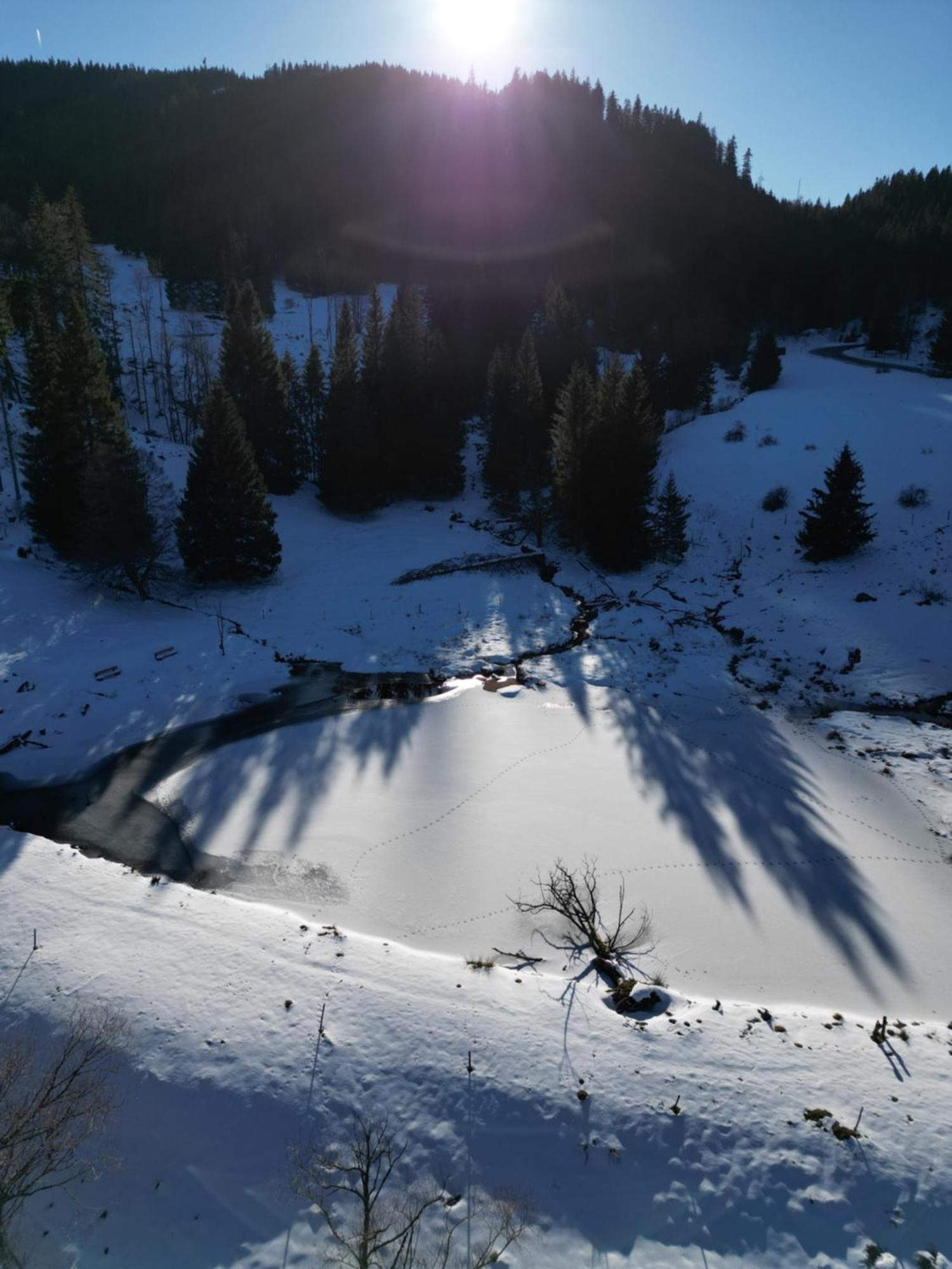 Sporthostel Roessle Schluchsee Dış mekan fotoğraf